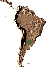 Habitat : Sud du Brésil (Province de Rio Grande do Sul uniquement), Argentine (Corrientes, Entre Rios, Santa Fé) et Uruguay, où il forme de gigantesques colonies sur des terrains habituellement plats et sableux (pampas) et parfois en forêts claires.