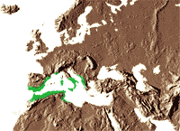 Habitat : Sud de l’Europe (Italie, Sardaigne, Espagne), et Nord de l’Afrique (Maroc). Il semble également avoir été rencontré à l’état sauvage sur l’île de Malte. Chamaerops humilis est l’une des deux seules espèces de palmiers natifs d’Europe