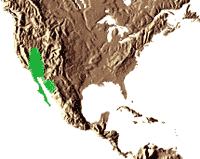 Distribution naturelle du genre Washingtonia