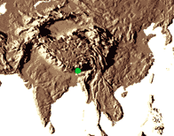 Habitat : Il ne subsiste qu’une minuscule population naturelle de Trachycarpus latisectus, dans la région du Sikkim (Himalayas), au nord-est de l’Inde.